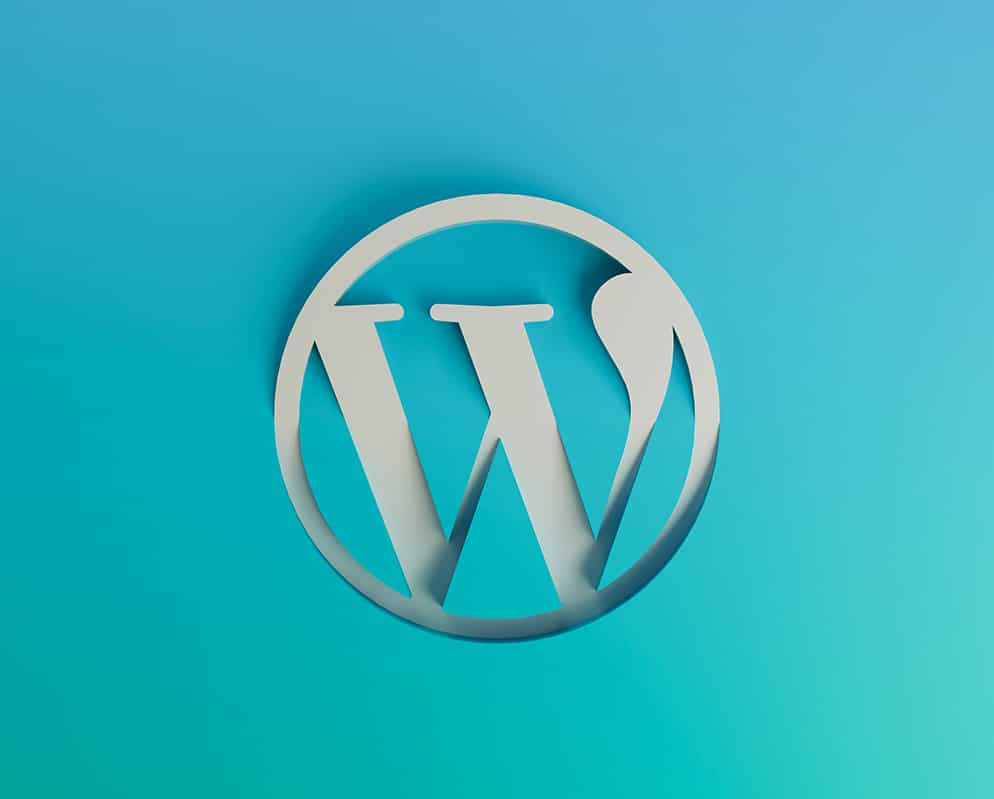 wordpress developer